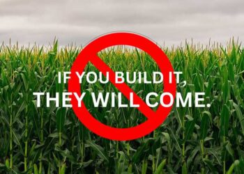 Distribution vs. Product in AI: What 90% of First-Time Founders Get Wrong