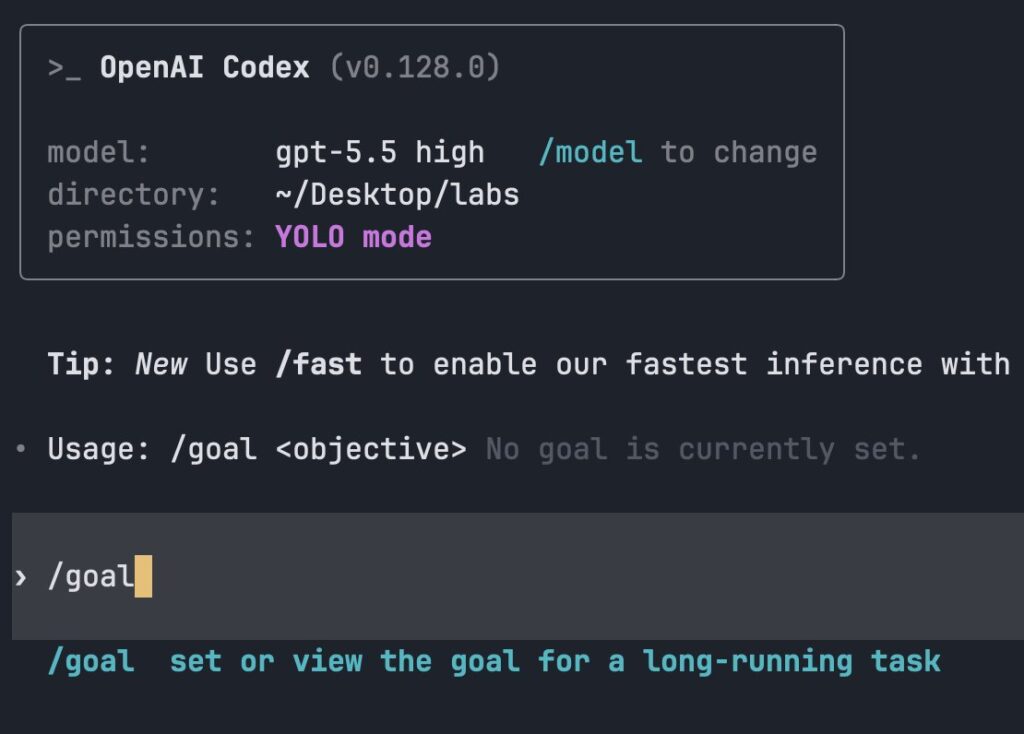 codex /goal