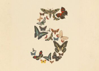 Claude Mythos 5