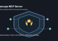 Descope MCP Server identity control editorial image