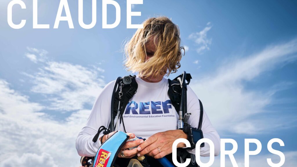 Official Anthropic image for the Claude Corps fellowship