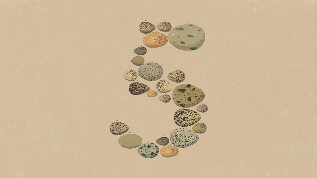 Anthropic’s official Claude Opus 5 launch artwork, showing the number five formed from illustrated mottled ovoid specimens.
