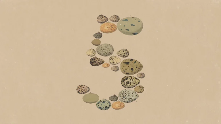 Anthropic’s official Claude Opus 5 launch artwork, showing the number five formed from illustrated mottled ovoid specimens.