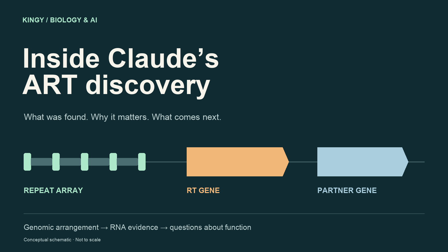 Claude’s ART Discovery Explained: What Scientists Found and Why It Matters